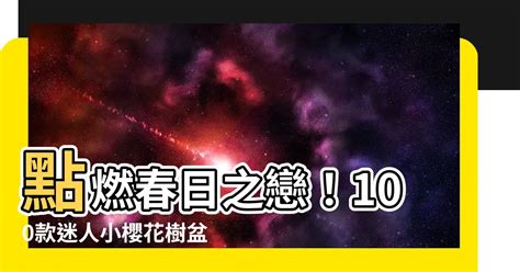 小櫻花樹|【小櫻花樹】點燃春日之戀！100款迷人小櫻花樹盆栽，賞櫻就在。